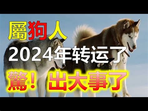 屬狗住宅方位|【屬狗的方位】「適合屬狗的房屋風水方位及理想樓層選擇」